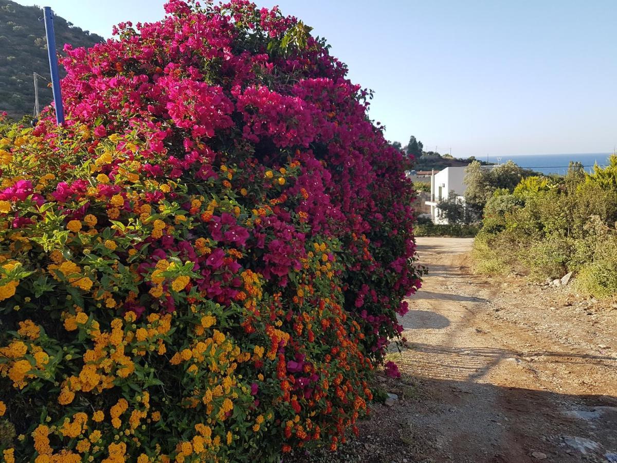 Sea Flower Villa Bali Crete Влихада Экстерьер фото